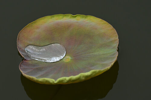 Rain Footprint 2 Anatoliy Anshin