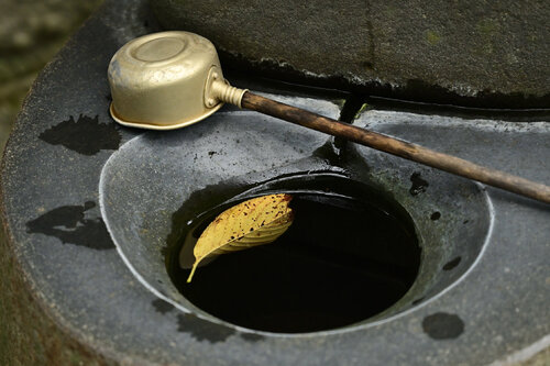 Pure and Austere von Anatoliy Anshin, Fotografie kaufen auf Singulart