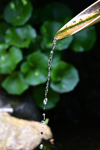 Hokokuji Stream 2 di Anatoliy Anshin, Fotografia in vendita su Singulart