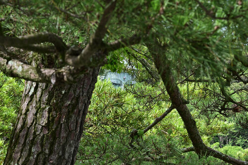 The Great Buddha of Kamakura 2 di Anatoliy Anshin, Fotografia in vendita su Singulart