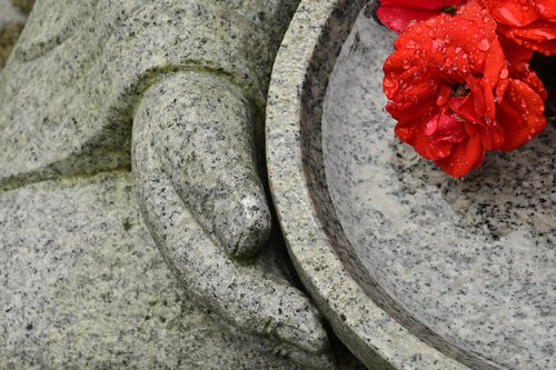 Compassion van Anatoliy Anshin, Fotografie te koop op Singulart