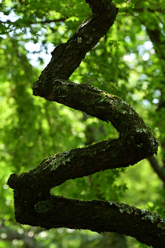 Going One's Own Way di Anatoliy Anshin, Fotografia in vendita su Singulart