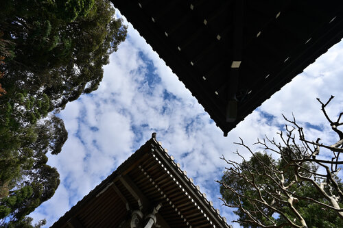 And Having Absorbed the Whole Universe in His Chest... de Anatoliy Anshin, Fotografía a la venta en Singulart