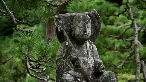 What's Your Destination? Anatoliy Anshin