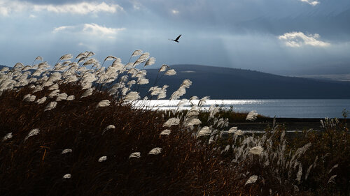 The Elements di Anatoliy Anshin, Fotografia in vendita su Singulart