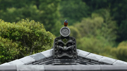 On Guard Anatoliy Anshin