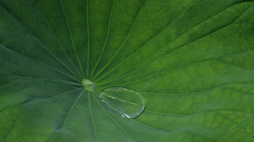 Inner Treasures Anatoliy Anshin