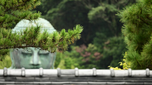 The Great Buddha of Kamakura 17 di Anatoliy Anshin, Fotografia in vendita su Singulart