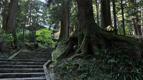 No Way Back 2 di Anatoliy Anshin, Fotografia in vendita su Singulart