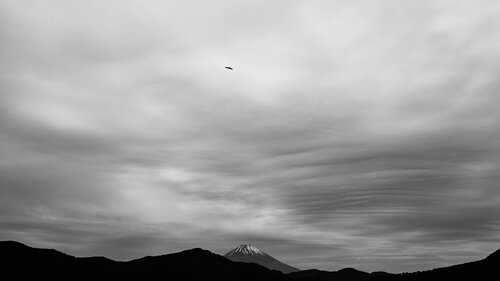 Conversations with Mount Fuji 16 di Anatoliy Anshin, Fotografia in vendita su Singulart