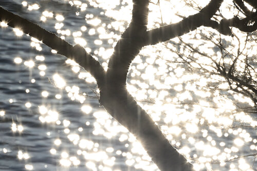 Lake Ashinoko Abstraction 25 by Anatoliy Anshin, Photography for Sale on Singulart