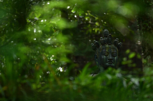 Saijoji Kannon van Anatoliy Anshin, Fotografie te koop op Singulart