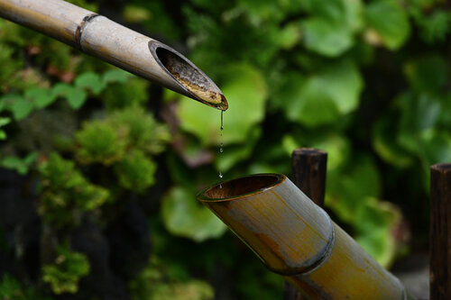 Time is not Waiting von Anatoliy Anshin, Fotografie kaufen auf Singulart