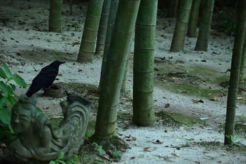 Speechless Scene di Anatoliy Anshin, Fotografia in vendita su Singulart