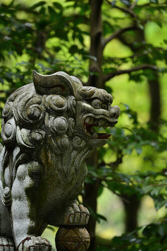 Guarding the Sacred 5 di Anatoliy Anshin, Fotografia in vendita su Singulart