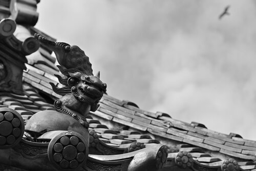 Yasaka Lion di Anatoliy Anshin, Fotografia in vendita su Singulart