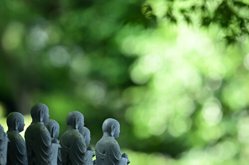 The Shining of Compassion Anatoliy Anshin