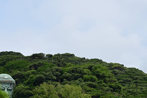 The Great Buddha of Kamakura 9 di Anatoliy Anshin, Fotografia in vendita su Singulart