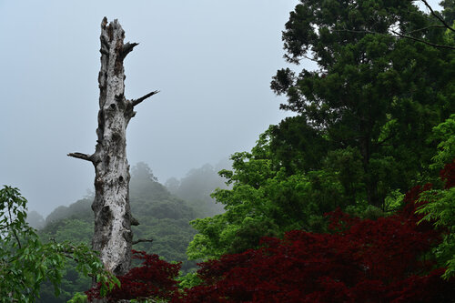 Thundering Calm di Anatoliy Anshin, Fotografia in vendita su Singulart