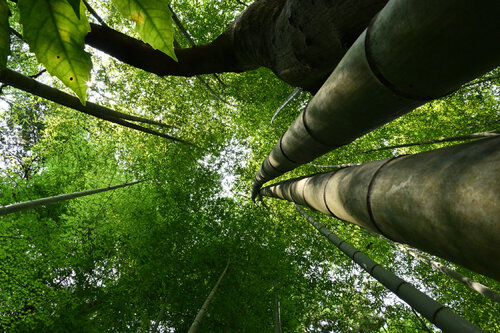 Unexplored Realms 17 di Anatoliy Anshin, Fotografia in vendita su Singulart