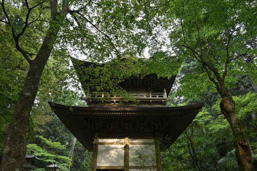 Aspiration 11 Anatoliy Anshin