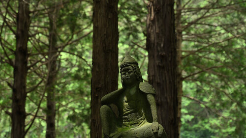 Let All Dreams Come True 2 van Anatoliy Anshin, Fotografie te koop op Singulart