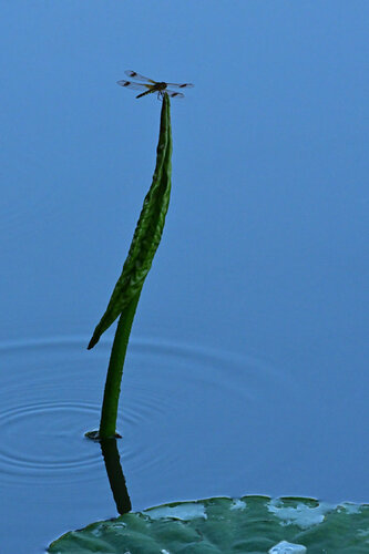 In Search for the Absolute Truth par Anatoliy Anshin, Photographie en vente sur Singulart