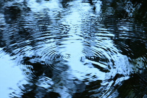 Shuzenji Reflections di Anatoliy Anshin, Fotografia in vendita su Singulart