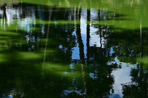 Engakuji Lake Abstraction Anatoliy Anshin