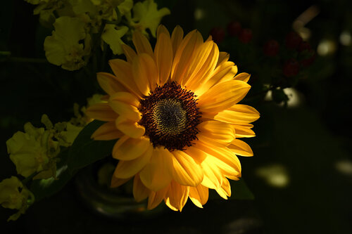 If There is Dark, There Should Be Light par Anatoliy Anshin, Photographie en vente sur Singulart