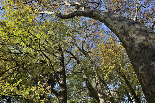 They Also Have a Soul 5 van Anatoliy Anshin, Fotografie te koop op Singulart