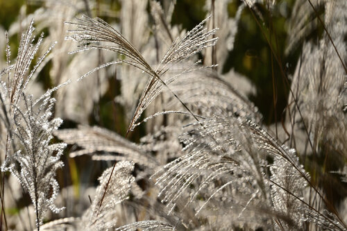 Where There is Only Light and Calm van Anatoliy Anshin, Fotografie te koop op Singulart