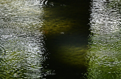 In Quest of the Other Shore Anatoliy Anshin