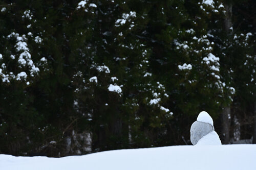 Jizo the Snowman van Anatoliy Anshin, Fotografie te koop op Singulart