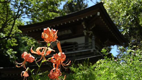 Once Upon a Summer in Jochiji by Anatoliy Anshin, Photography for Sale on Singulart