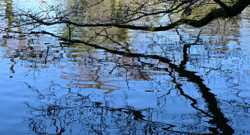 Divine Dynamics 2 Anatoliy Anshin