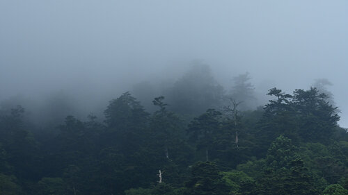 The Hidden Belongs to the God 8 par Anatoliy Anshin, Photographie en vente sur Singulart