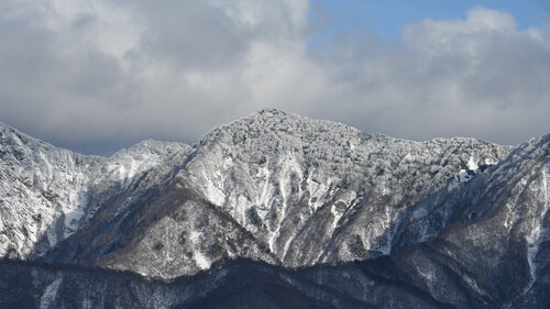 White Horse Anatoliy Anshin