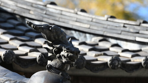 Yasaka Lion 5 par Anatoliy Anshin, Photographie en vente sur Singulart