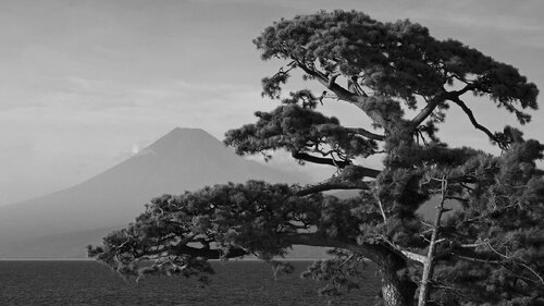Conversations with Mount Fuji 35 van Anatoliy Anshin, Fotografie te koop op Singulart