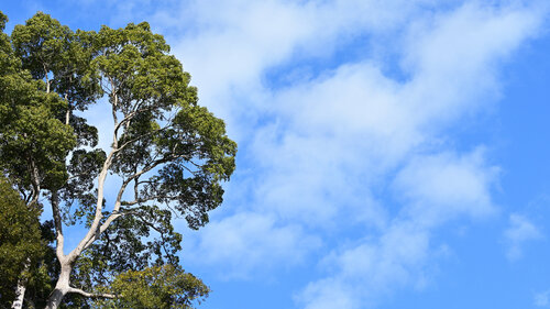 Everyone Has Their Own Sky 3 de Anatoliy Anshin, Fotografía a la venta en Singulart