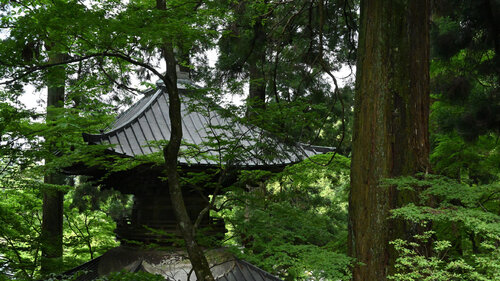 Invisible Virtue 3 par Anatoliy Anshin, Photographie en vente sur Singulart