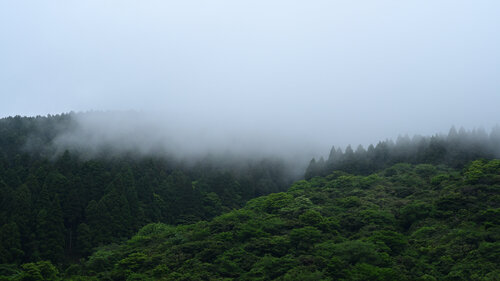 Hakone Wonders de Anatoliy Anshin, Fotografía a la venta en Singulart