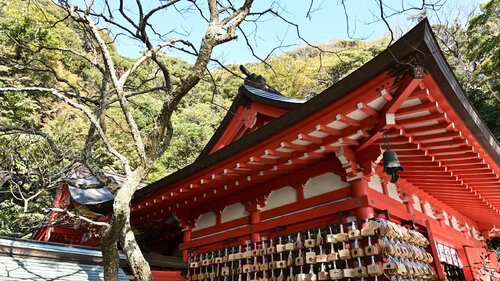 Guarding the Arts of the Living Beings di Anatoliy Anshin, Fotografia in vendita su Singulart