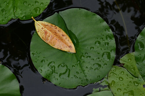 Time is not Waiting 2 Anatoliy Anshin