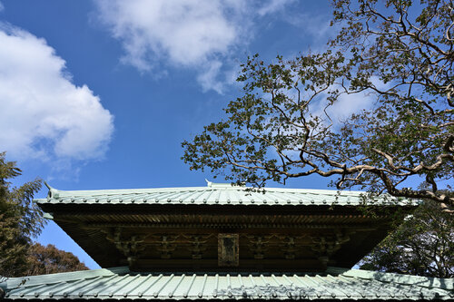 No Way Back Anatoliy Anshin