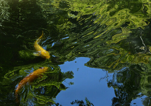 Divine Dynamics par Anatoliy Anshin, Photographie en vente sur Singulart