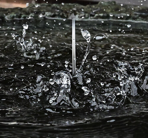 The Dragon and the Blade Anatoliy Anshin