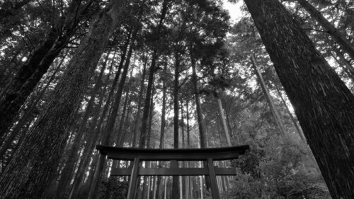 Supporting the Heaven 4 par Anatoliy Anshin, Photographie en vente sur Singulart