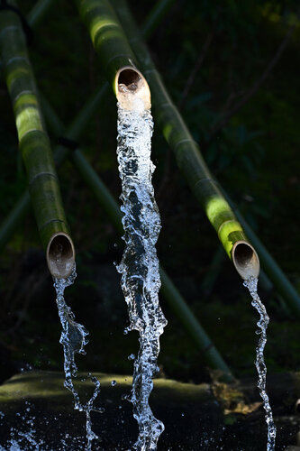 Three Bamboo Springs par Anatoliy Anshin, Photographie en vente sur Singulart
